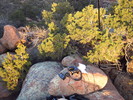 photo thumbnail #4