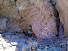photo thumbnail #3