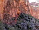 photo thumbnail #8