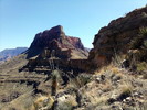 photo thumbnail #12