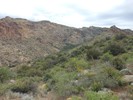 photo thumbnail #11