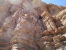 photo thumbnail #8