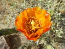 photo thumbnail #8
