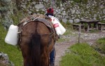 photo thumbnail #13