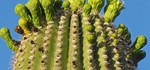photo thumbnail #3