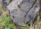 photo thumbnail #3