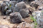 photo thumbnail #8
