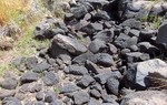 photo thumbnail #15