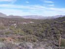 photo thumbnail #2