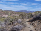 photo thumbnail #4