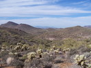 photo thumbnail #10