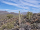photo thumbnail #11