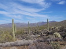 photo thumbnail #13
