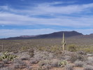 photo thumbnail #14
