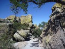 photo thumbnail #3
