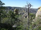 photo thumbnail #4