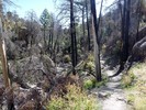 photo thumbnail #8