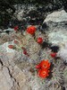 photo thumbnail #10