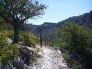 photo thumbnail #11