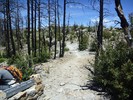 photo thumbnail #14