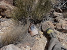 photo thumbnail #5