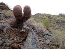 photo thumbnail #2