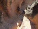 photo thumbnail #2