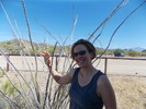 photo thumbnail #14