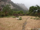 2014-04-26 :3: Superstition Wilderness :: FOTG