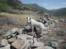 photo thumbnail #13