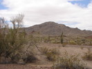 photo thumbnail #2