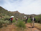 photo thumbnail #10