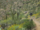 photo thumbnail #11