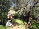 photo thumbnail #13