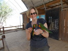 photo thumbnail #5