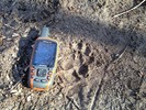 photo thumbnail #8