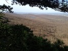 photo thumbnail #15