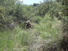 photo thumbnail #7
