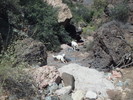 photo thumbnail #8