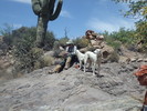 photo thumbnail #10