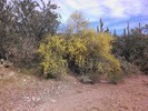 photo thumbnail #13