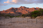 photo thumbnail #6
