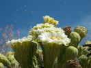 photo thumbnail #1
