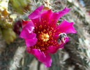 photo thumbnail #4