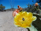 photo thumbnail #5