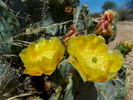 photo thumbnail #7