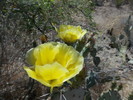 photo thumbnail #12