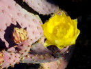 photo thumbnail #14