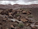 photo thumbnail #14