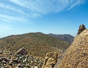 photo thumbnail #14